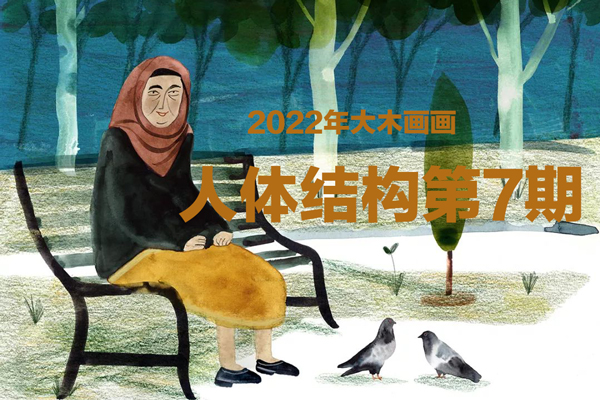 2022年大木画画-人体结构第7期