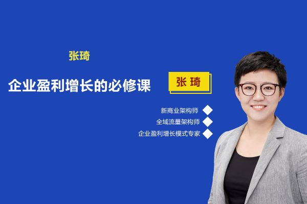 张琦-商业创新之引爆利润增长，引爆流量业绩利润