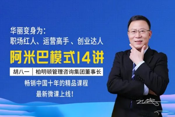 胡八一《2021阿米巴模式》14集视频