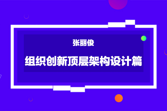 张丽俊-组织创新顶层架构设计篇