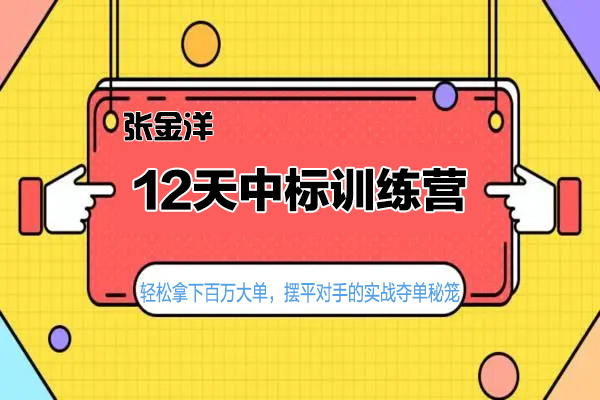 张金洋-12天中标训练营-轻松拿下百万大单，摆平对手的实战夺单秘笼