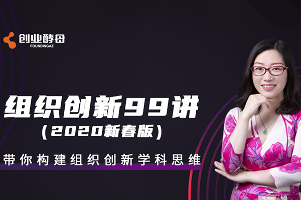 张丽俊-组织创新99讲视频课程