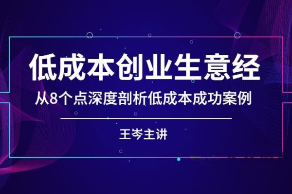 王岑-低成本创业生意经-从8个点深度剖析低成本成功案例