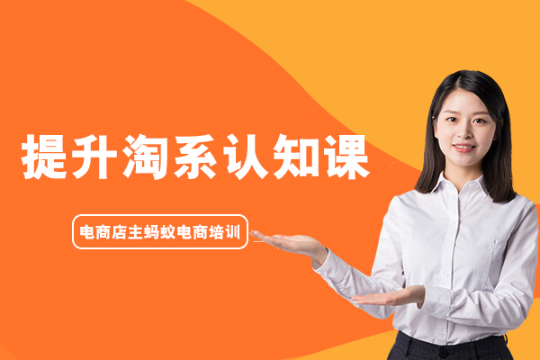 电商店主蚂蚁电商培训－提升淘系认知课