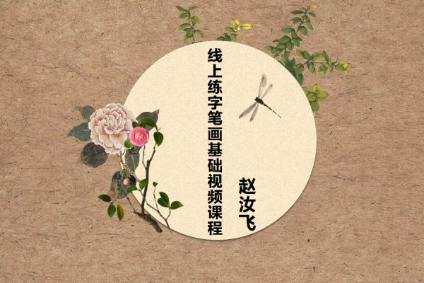 赵汝飞-线上练字笔画基础视频课程