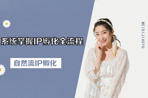 自然流IP孵化，系统掌握IP孵化全流程