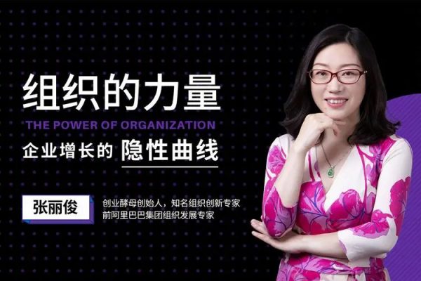 张丽俊-组织的力量之企业增长的隐性曲线28讲