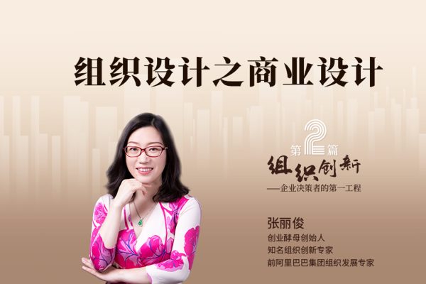 张丽俊-组织创新之商业设计视频教程