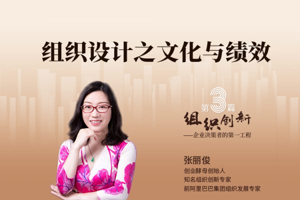 张丽俊-组织创新之文化与绩效视频教程