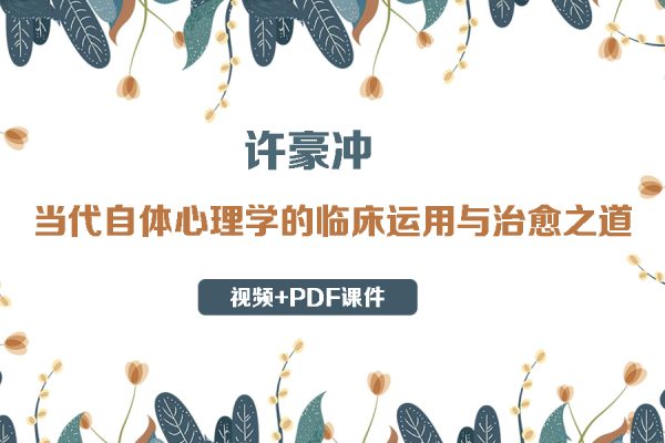 许豪冲-当代自体心理学的临床运用与治愈之道（视频+PDF课件）