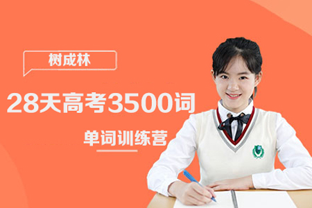 树成林-28天高考3500词单词训练营视频课程