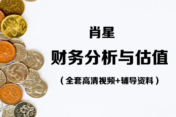 肖星-财务分析与估值 （全套高清视频+辅导资料）