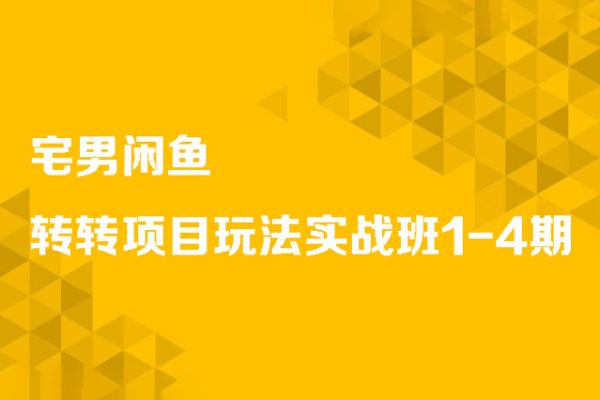 宅男闲鱼-转转项目玩法实战班1-4期