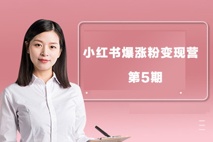 小红书爆涨粉变现营第5期