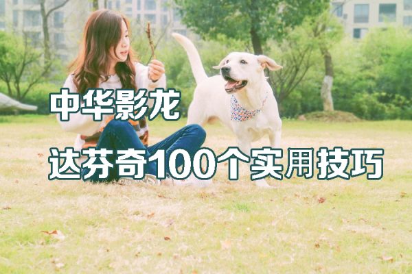 中华影龙解锁达芬奇100个实⽤技巧
