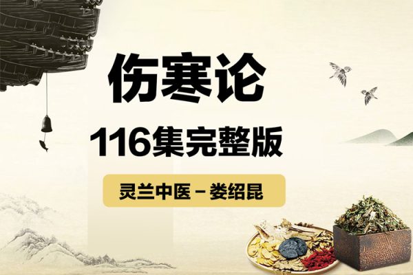 灵兰－娄绍昆：《65条学完一本伤寒论》116集完整版