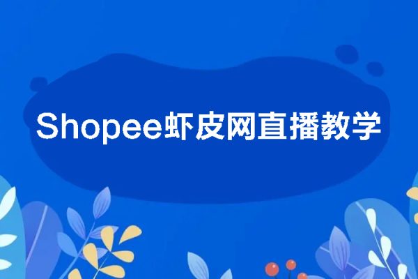 shopee虾皮网直播教学视频教程