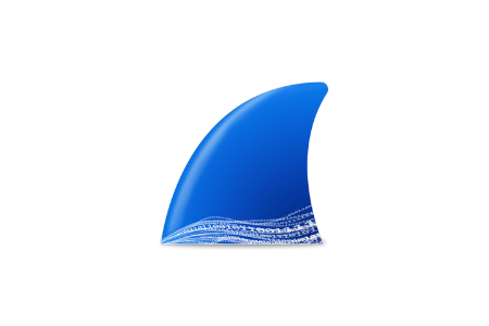 Wireshark v4.4.2 便携版