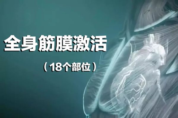 全身筋膜激活（18个部位）