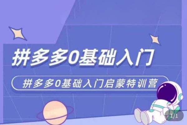 拼多多运营0-1实操特训营，拼多多0基础入门，从基础到进阶的可实操玩法