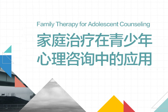 龙迪 家庭治疗在青少年心理咨询中的应用