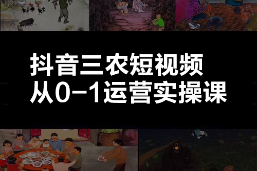 抖音三农短视频从0-1运营实操课（30节视频）