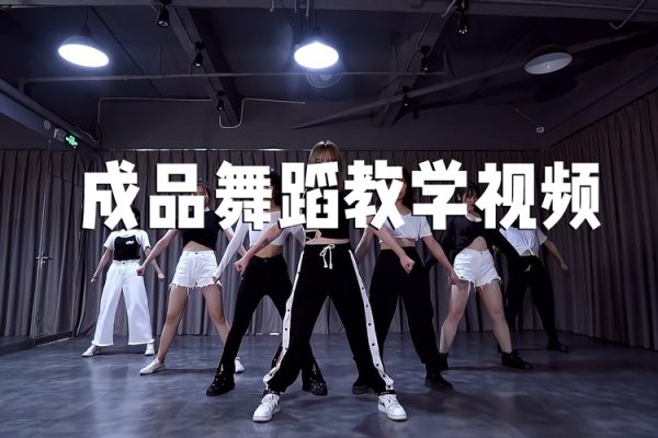成品舞蹈教学视频（279集视频）