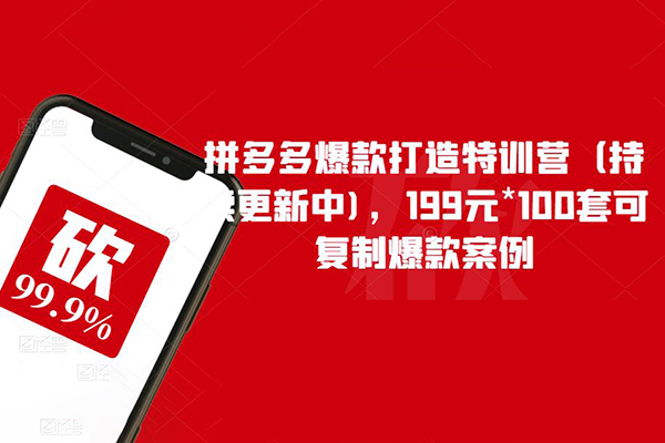 拼多多爆款打造特训营，199元*100套可复制爆款案例