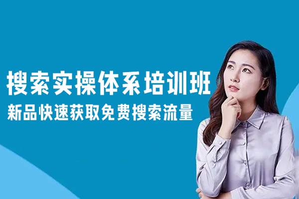 搜索实操体系培训班-新品快速获取免费搜索流量