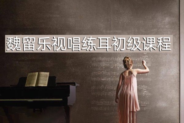 魏留乐视唱练耳初级课程