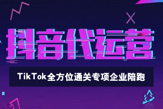 TikTok全方位通关专项企业陪跑【第三期】，从0到1真正的企业TK电商运营全流程