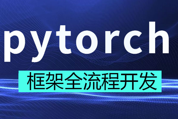 Pytorch框架全流程开发医学影像端到端判别实战项目