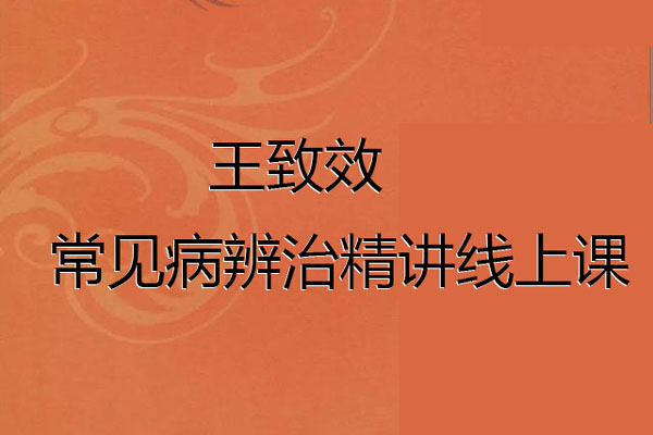 王致效-常见病辨治精讲线上课音频14集