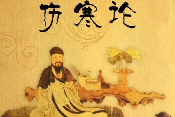 鲁法庭精简实战《伤寒论》音频课程20集