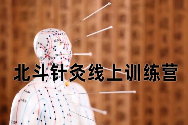 朱小宝-北斗针灸线上训练营