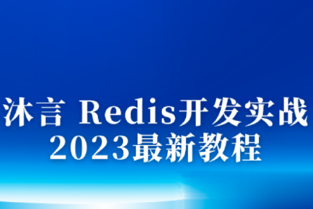 沐言 Redis开发实战 2023最新教程