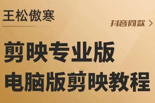 王松傲寒剪映专业版教学