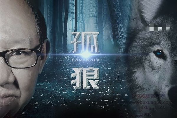 郭海培-掌上财金-孤狼战法20堂课