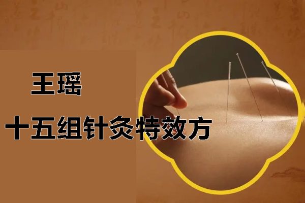 医脉相承王瑶十五组针灸特效方