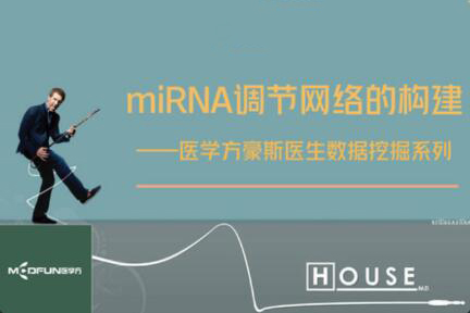 数据挖掘—miRNA调节网络的构建
