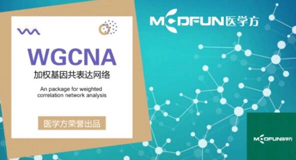 豪斯医生数据挖掘之WGCNA详解