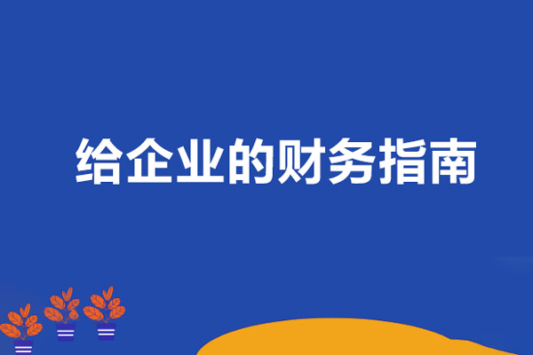李薇薇给企业的财务指南