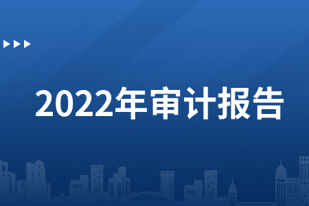 Benny I 超白金2022年审计实务（3节视频）
