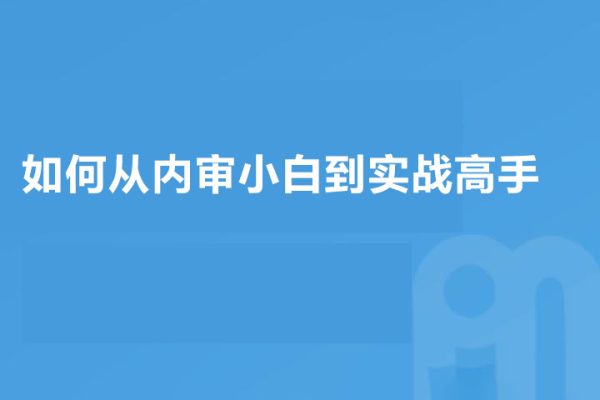 如何从内审小白到实战高手（视频）