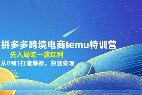 拼多多跨境（temu）课程，从Temu小白到玩转Temu