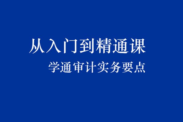 从入门到精通课学通审计实务要点