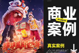 真实商业案例全流程详解2023全新DLC