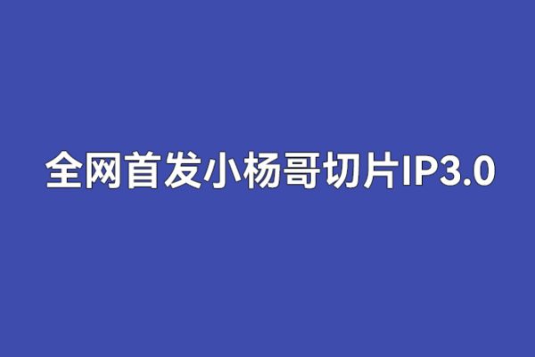 全网首发小杨哥切片IP3.0，日入500+，保姆级教学，小白可做【揭秘】