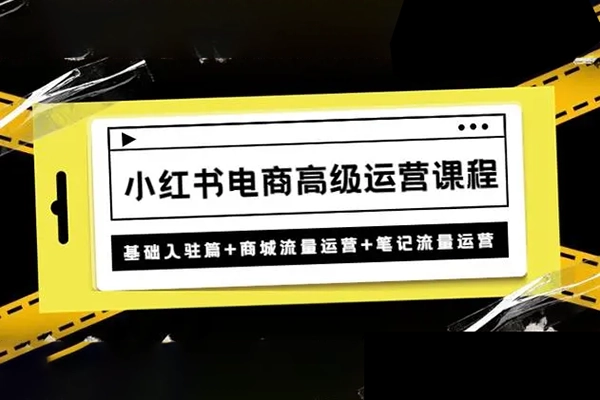 猴子电商小红书电商运营课，从入门到精通，全域电商实操课