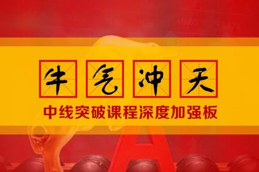 李晓光《牛气冲天中线突破课程深度加强板》